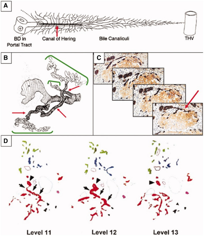 FIG 11