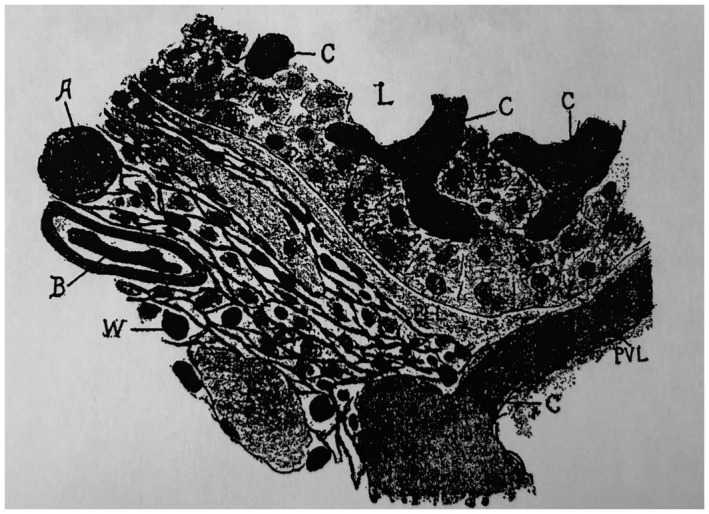 FIG 23