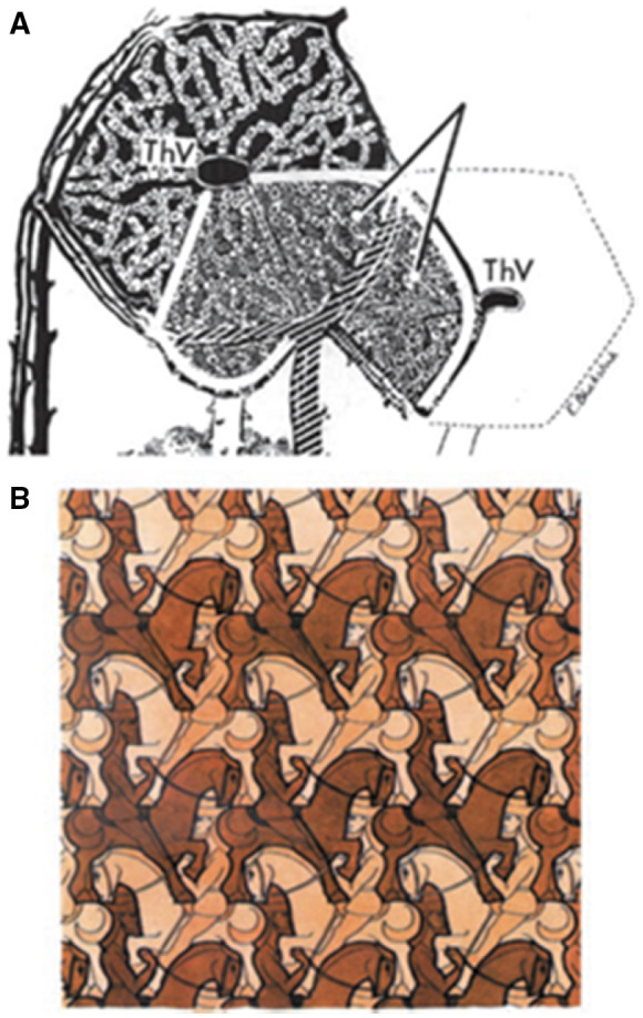 FIG 22