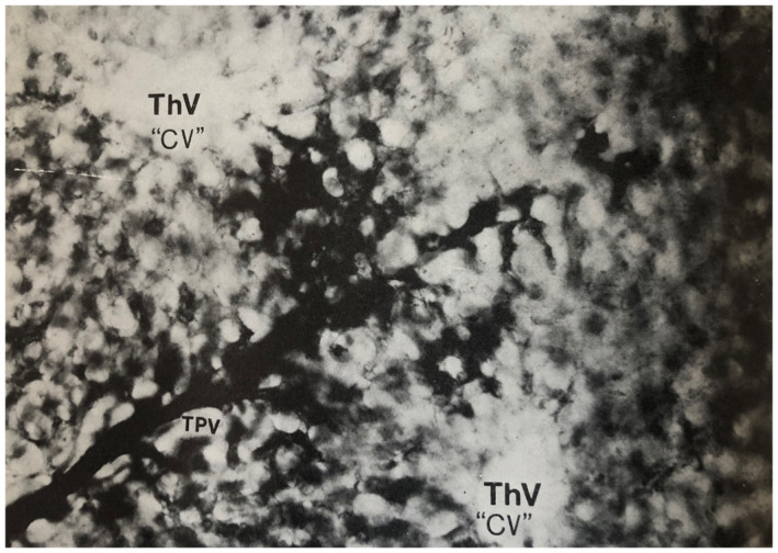 FIG 20