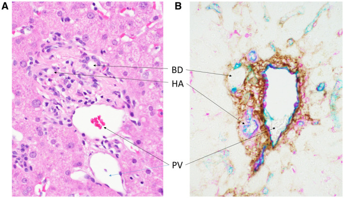 FIG 24