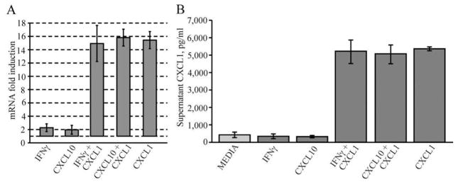 Fig. 8