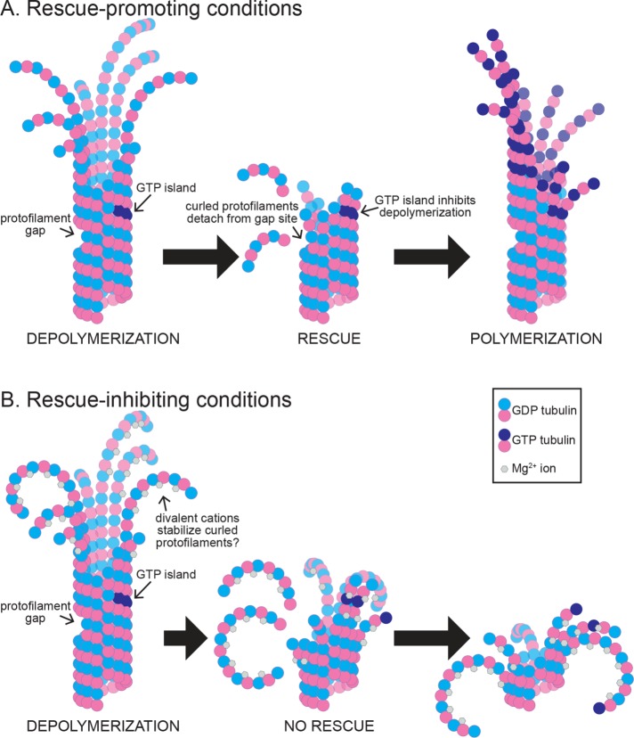 FIGURE 7: