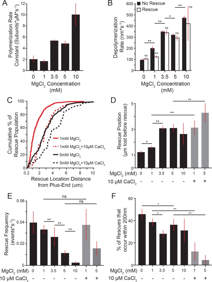 FIGURE 5: