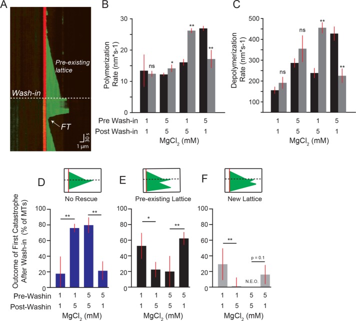 FIGURE 6: