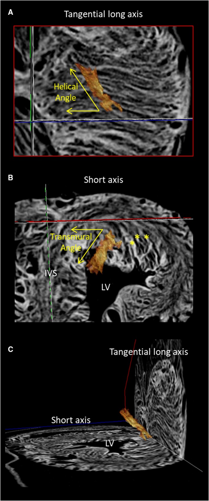 Figure 7