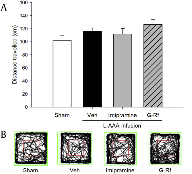 Fig. 2