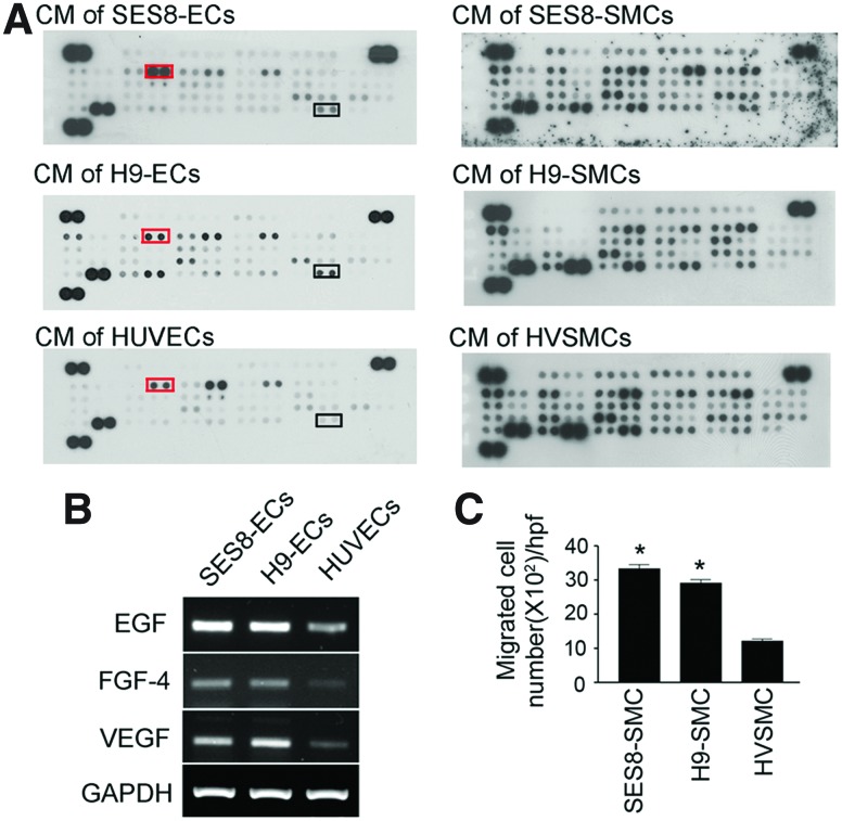 FIG. 4.