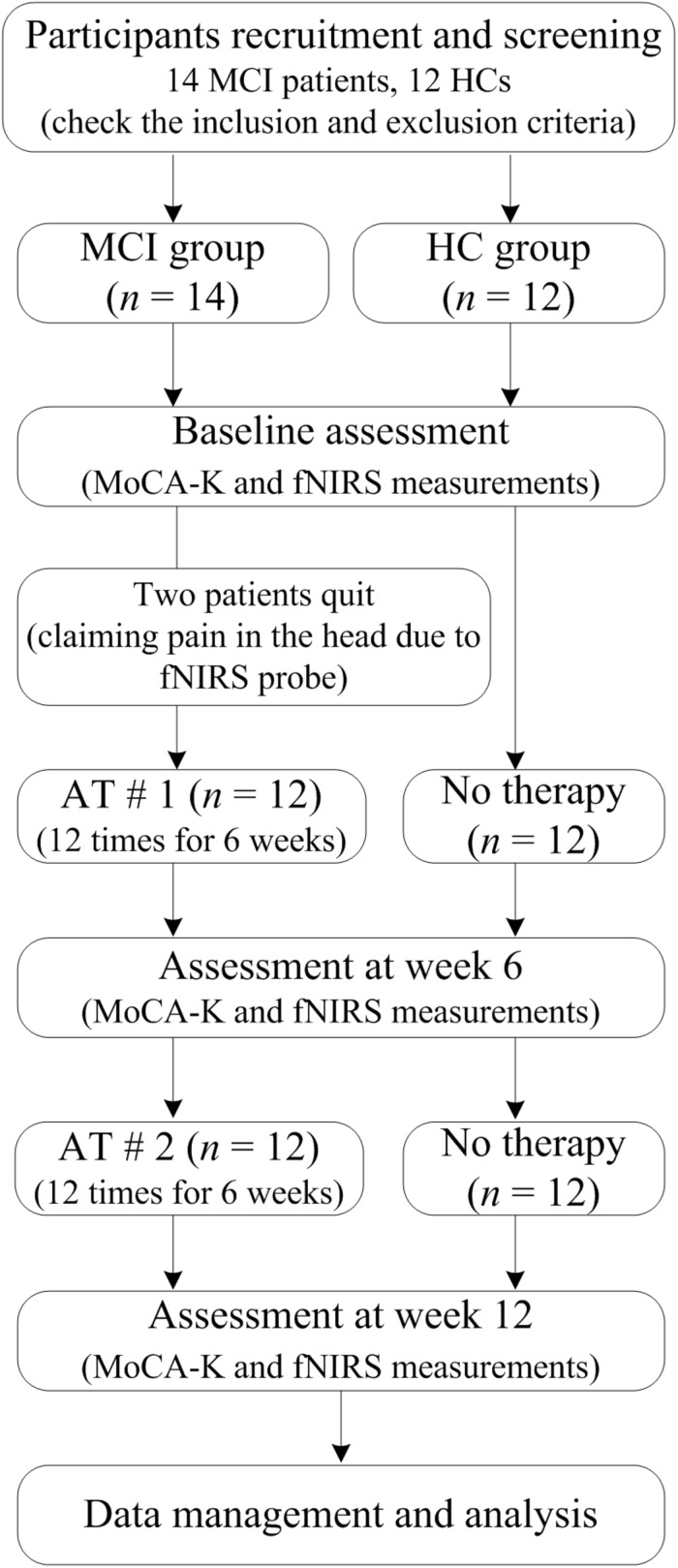 FIGURE 1