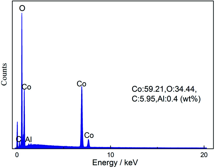 Fig. 5