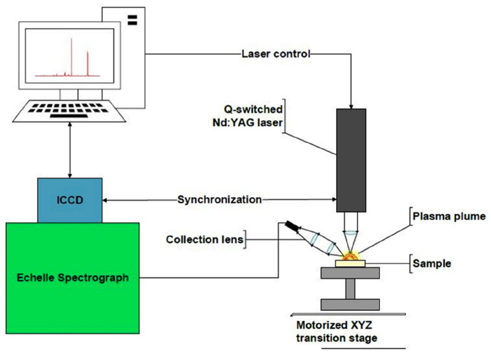 Figure 11