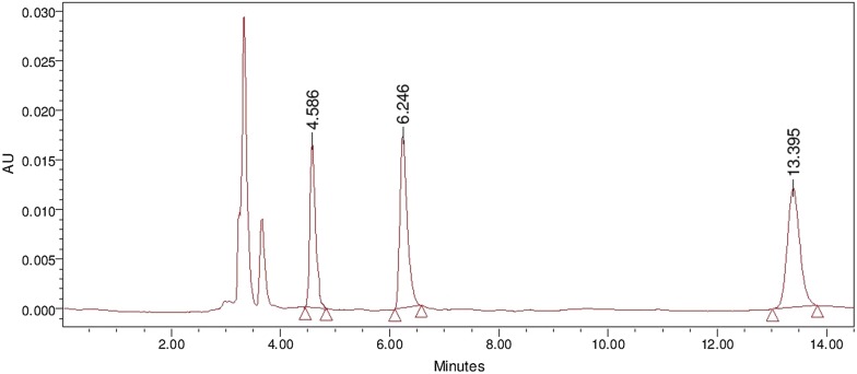 Fig. 1