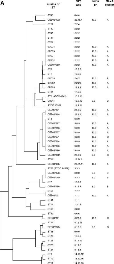 FIG. 2.