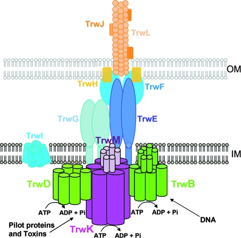 FIG. 6.