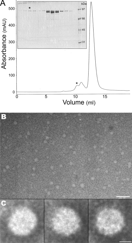 FIG. 5.