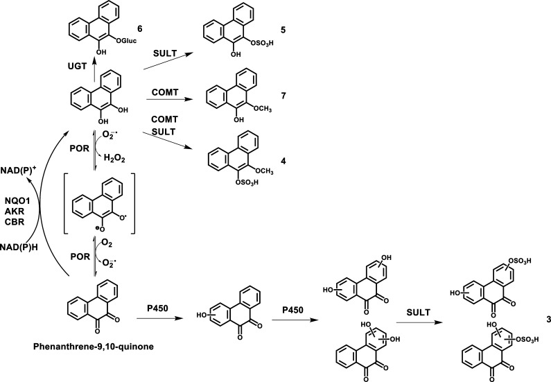 Scheme 2