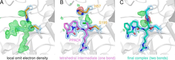 FIGURE 4.