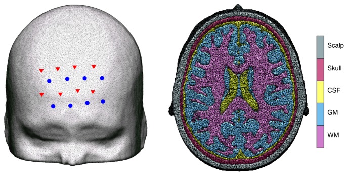 Fig. 1