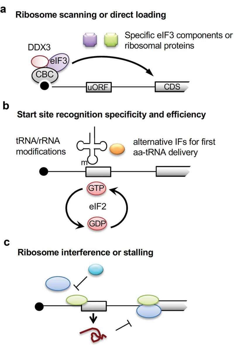 Figure 5.