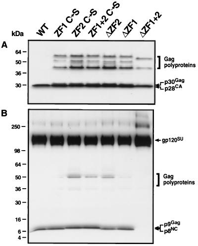 FIG. 5