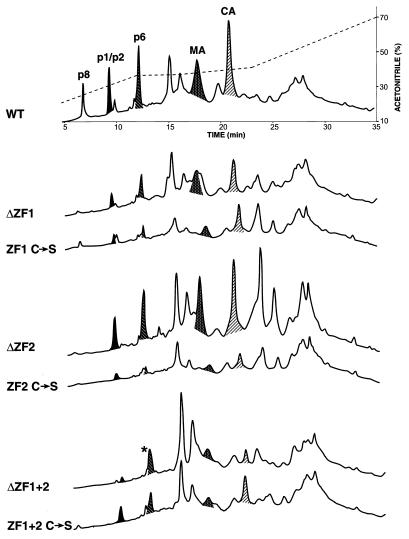 FIG. 6