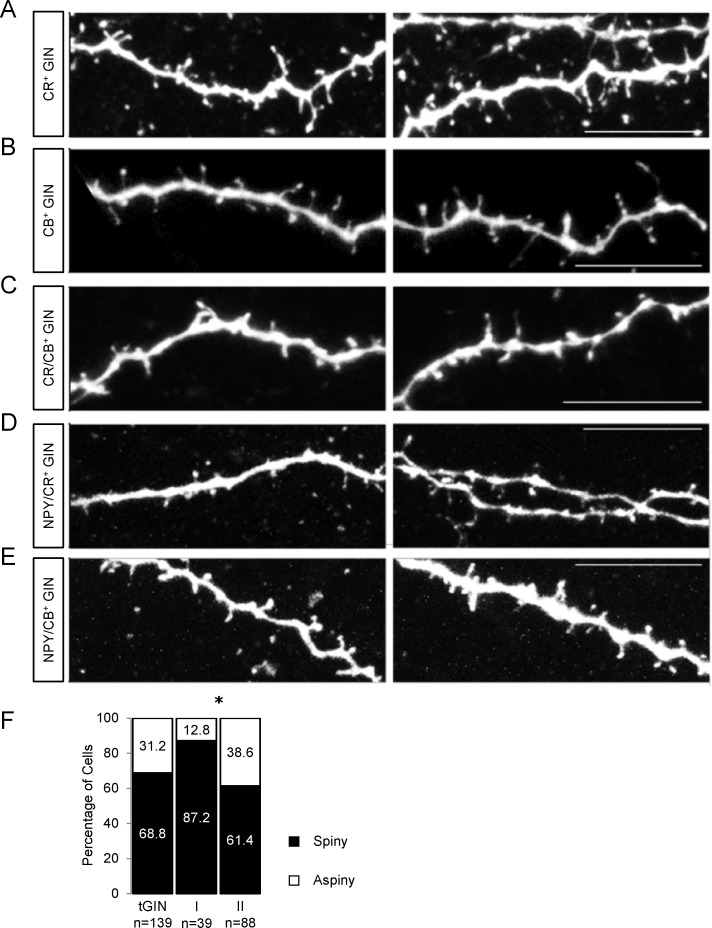 Fig 11