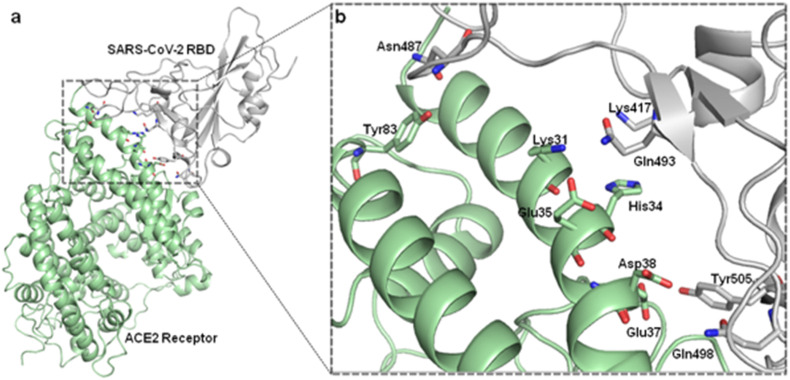 Fig. 3