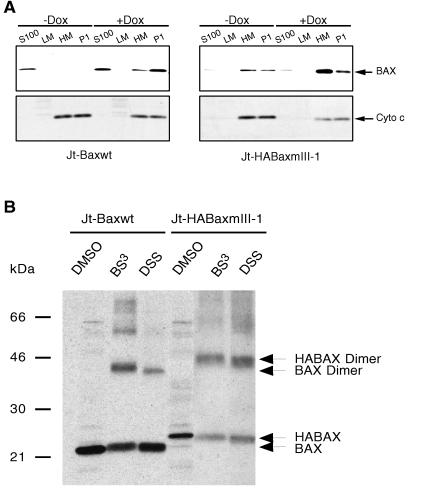 FIG. 6