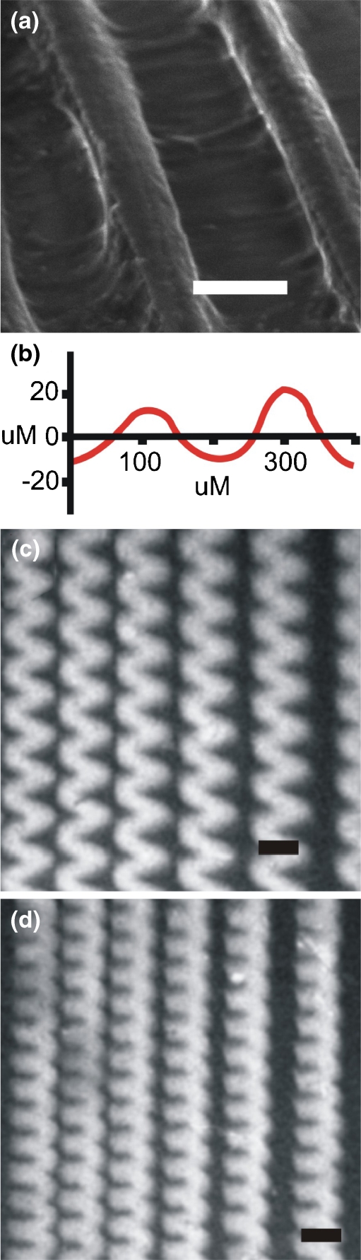 Fig. 4