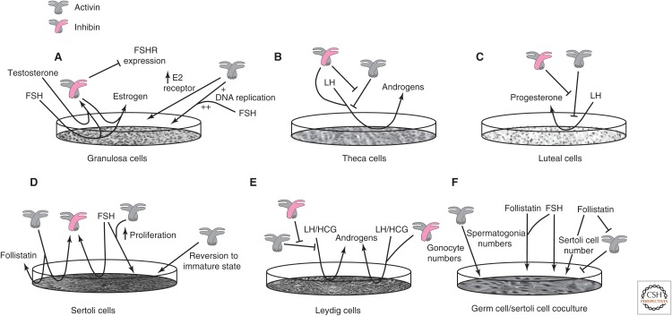 Figure 7.