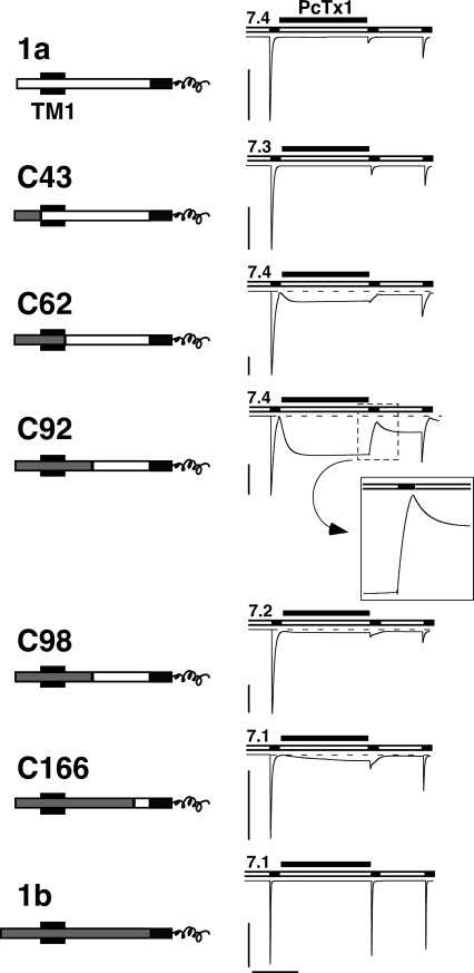 Figure 7.