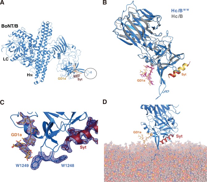 Fig 6