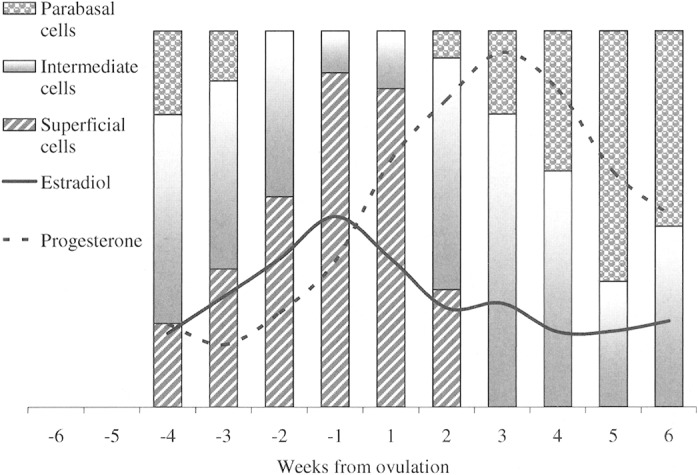 Fig. 10