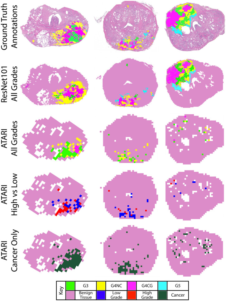 Fig 3