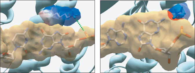 Figure 7.