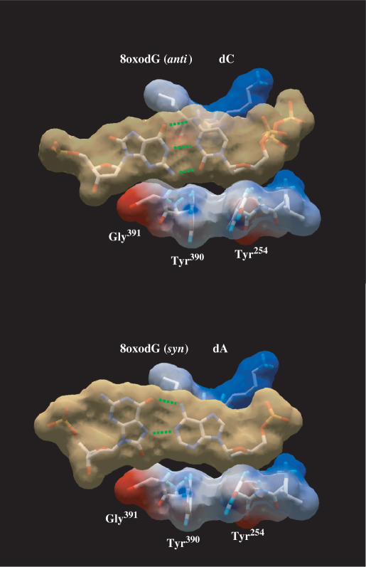 Figure 4.