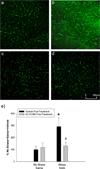 Fig. 11