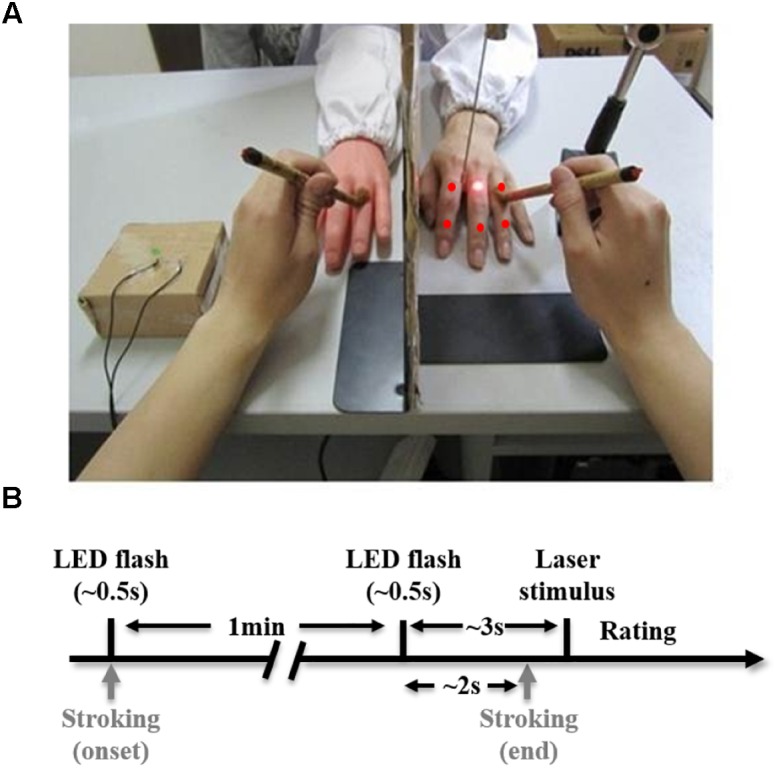 FIGURE 1