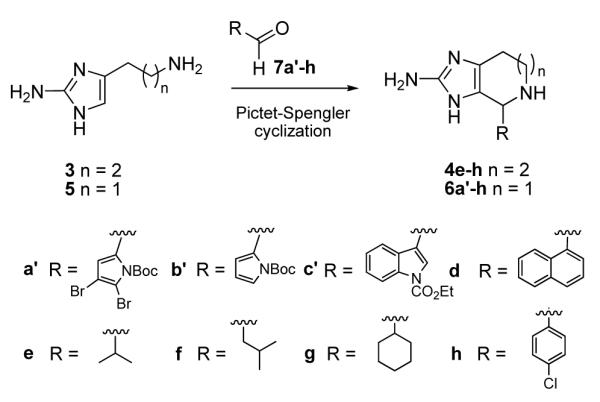 Scheme 2