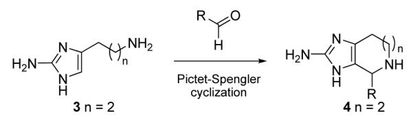 Scheme 1