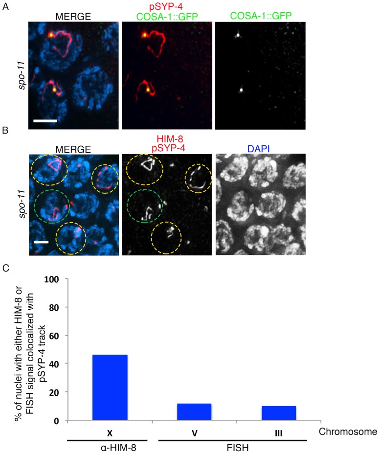 Figure 3—figure supplement 3.