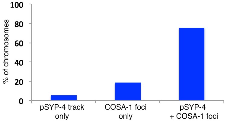 Figure 3—figure supplement 1.