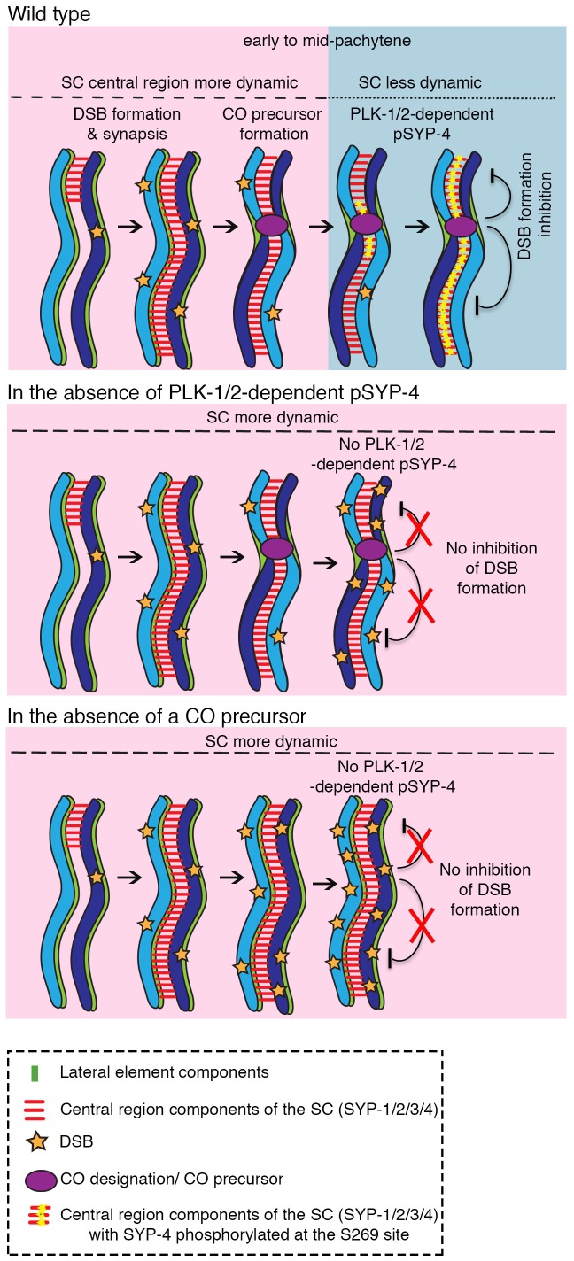 Figure 7.