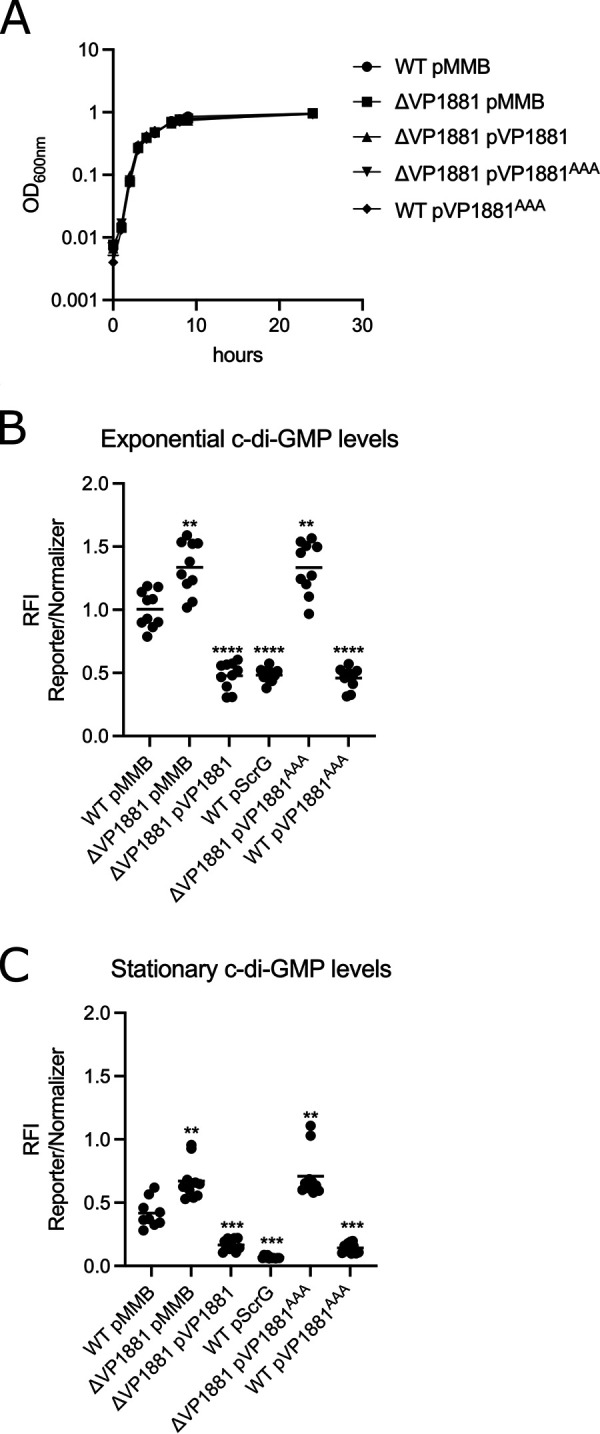 FIG 1