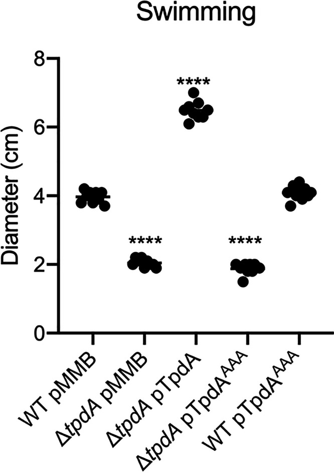 FIG 5