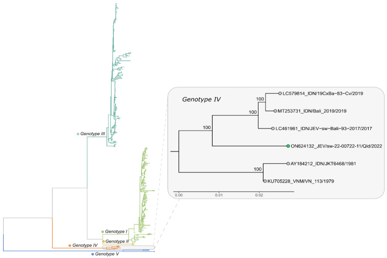 Figure 4