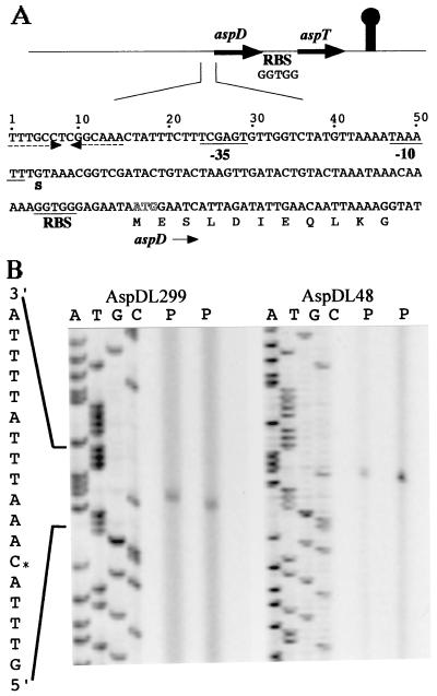FIG. 1.