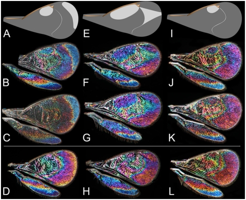 Fig. 3.