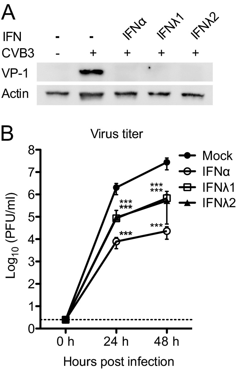 Fig 5