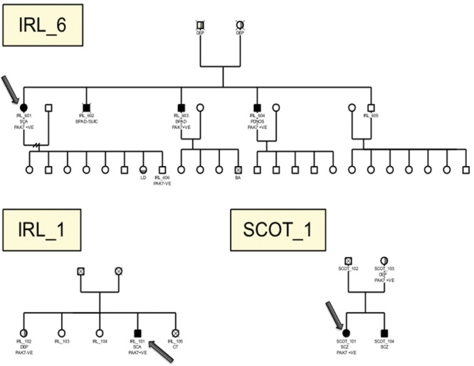 Figure 3.